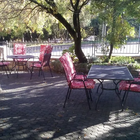 Ruska I Karlo Cilici